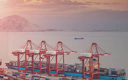 與清關(guān)報關(guān)代理機構(gòu)合作的流程