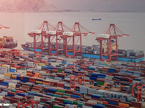 上海國際海運有哪些進口業務？